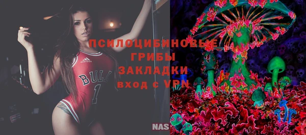 ПСИЛОЦИБИНОВЫЕ ГРИБЫ Магадан