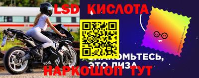 прущие грибы Тулун